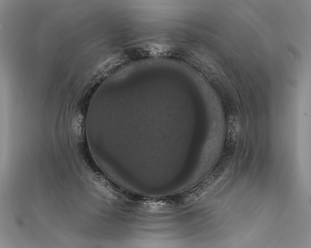 X0000111860650200908061336