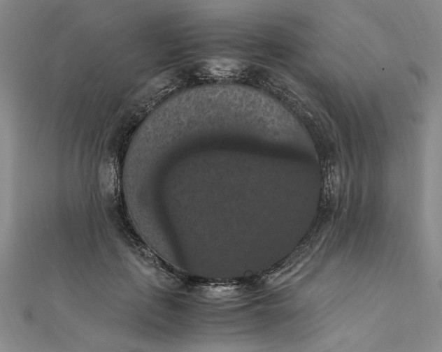 X0000111860651200908061336