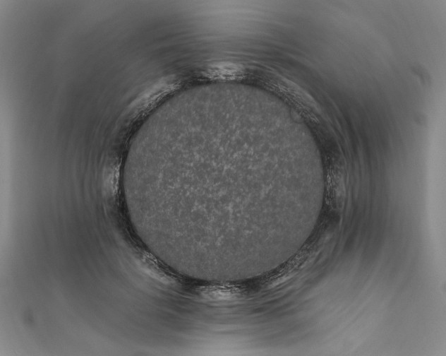 X0000111860652200908061336