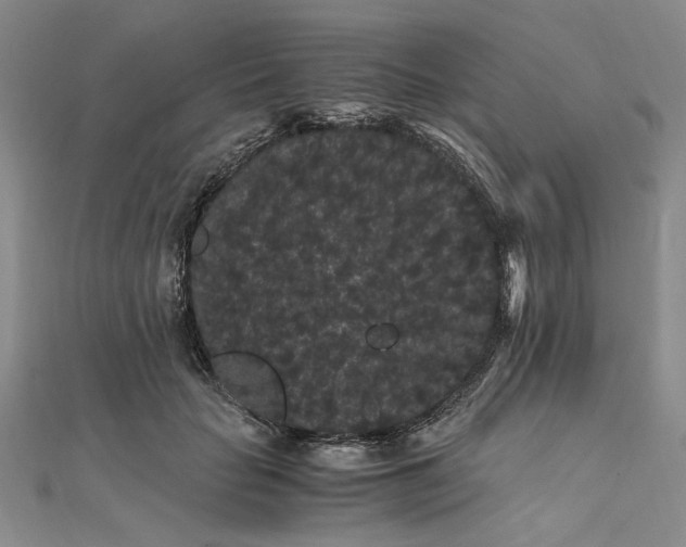 X0000111860653200908061336