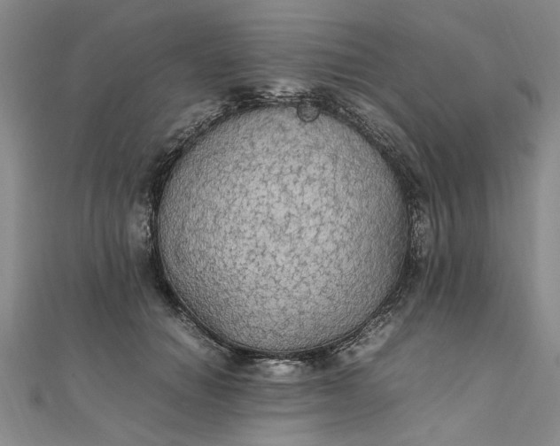 X0000111860654200908061336