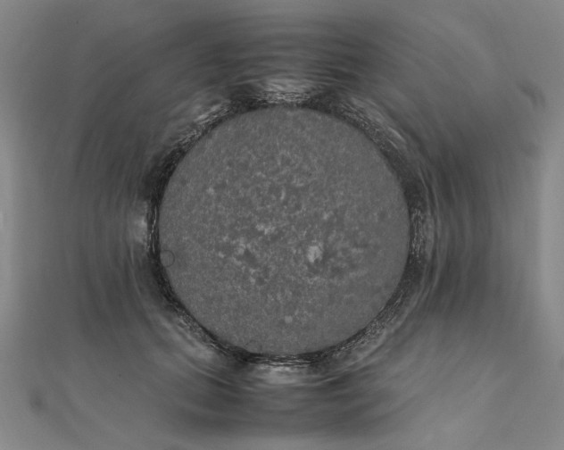 X0000111860655200908061336