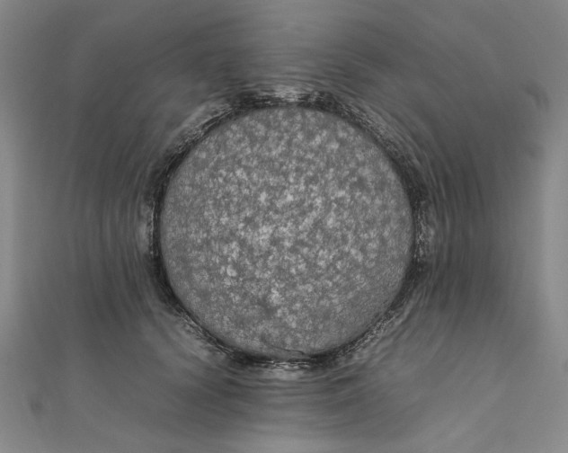 X0000111860656200908061336