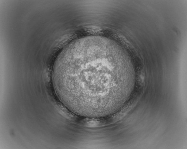 X0000111860658200908061337