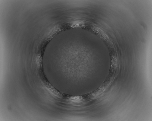 X0000111860659200908061337