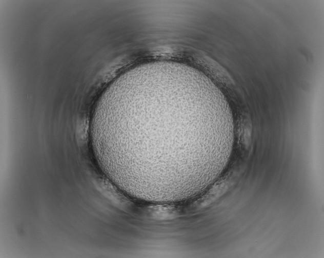 X0000111860660200908061337