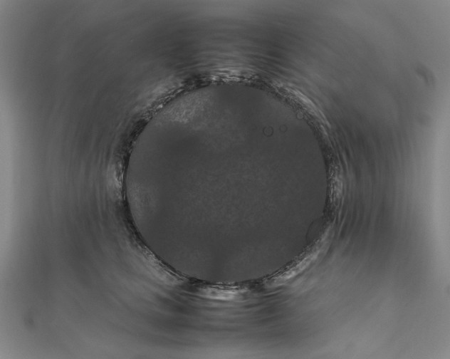 X0000111860661200908061337