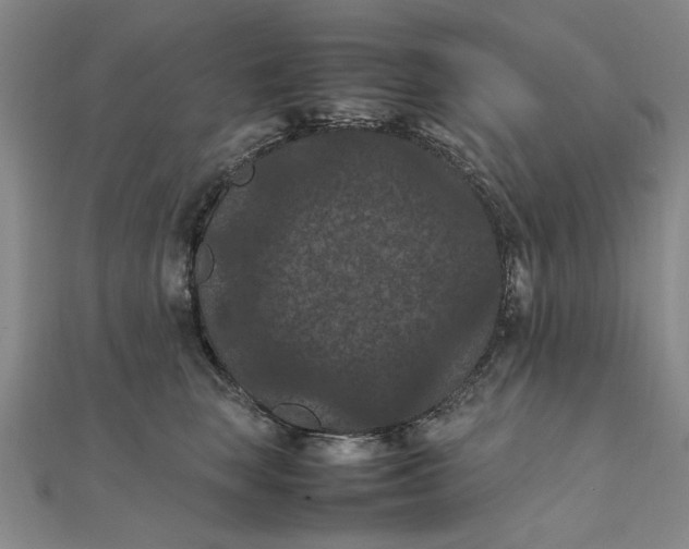 X0000111860663200908061337