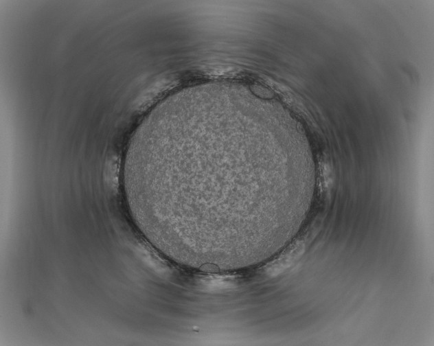 X0000111860664200908061337