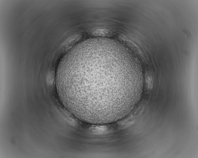 X0000111860665200908061337