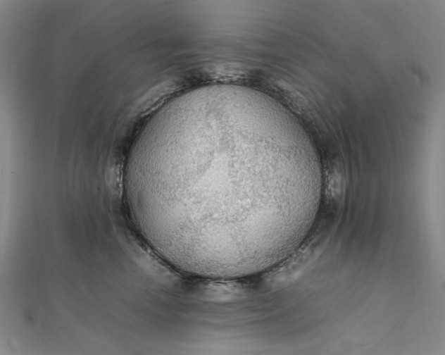 X0000111860666200908061337