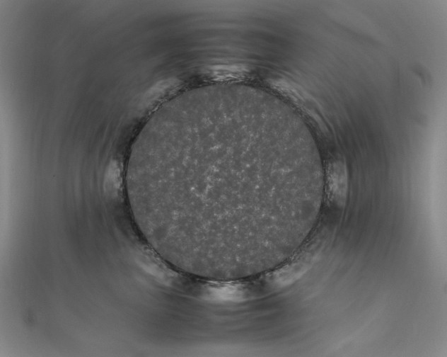 X0000111860667200908061337