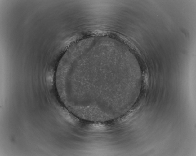 X0000111860668200908061337