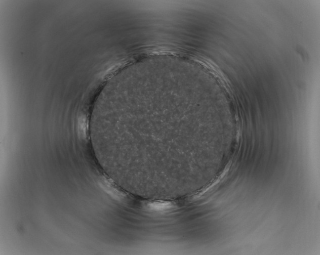 X0000111860669200908061337