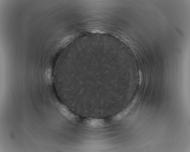 X0000111860670200908061337