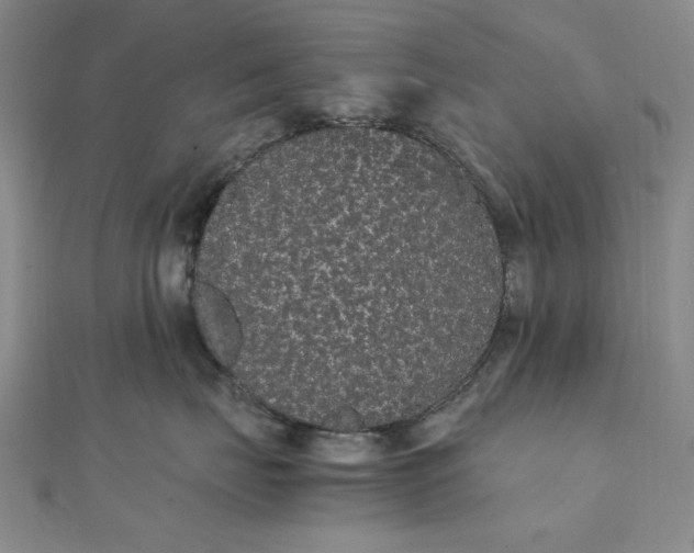 X0000111860671200908061337