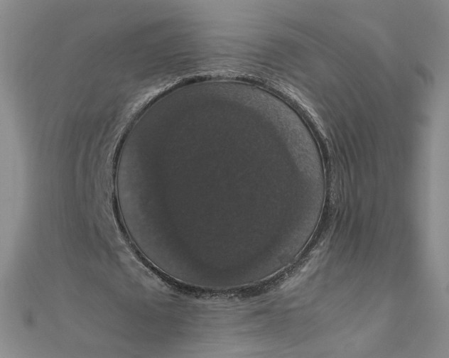 X0000111860673200908061336