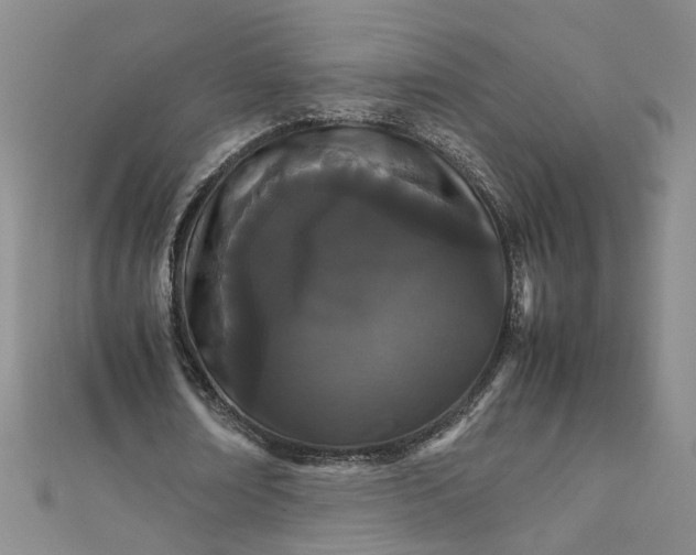 X0000111860674200908061336