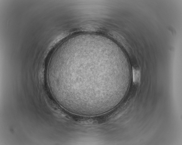 X0000111860675200908061336