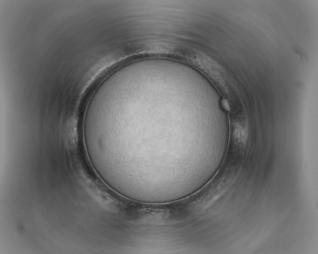 X0000111860676200908061336