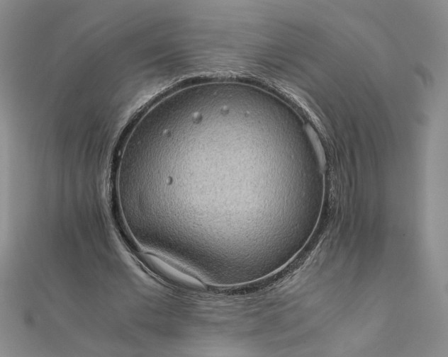 X0000111860677200908061336