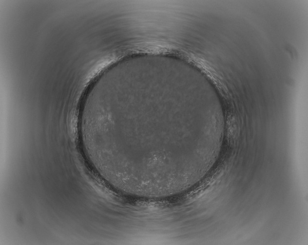 X0000111860679200908061336