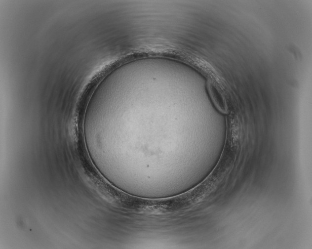 X0000111860680200908061336