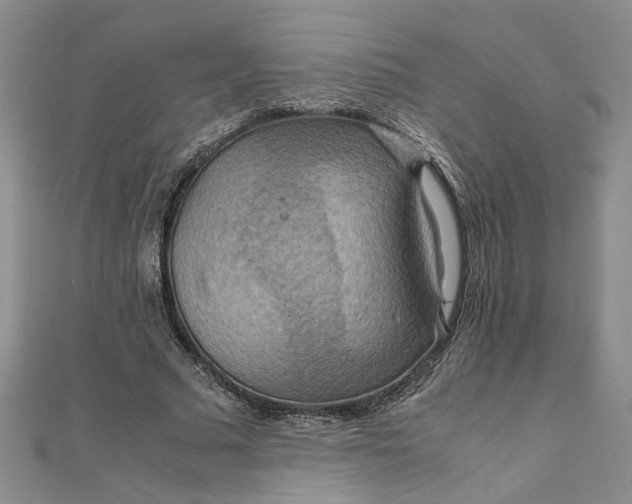 X0000111860681200908061336