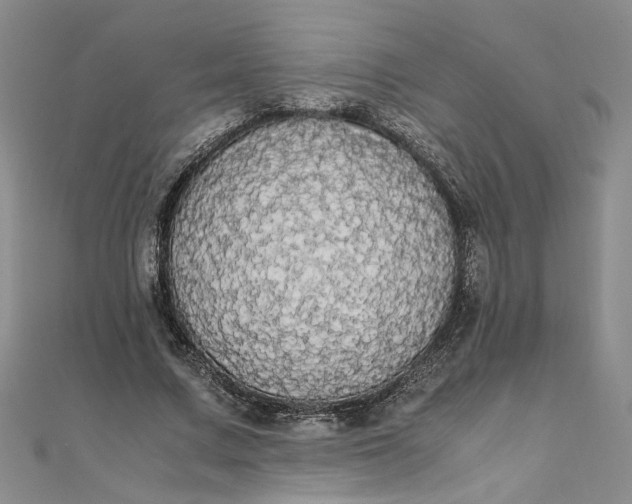 X0000111860683200908061336