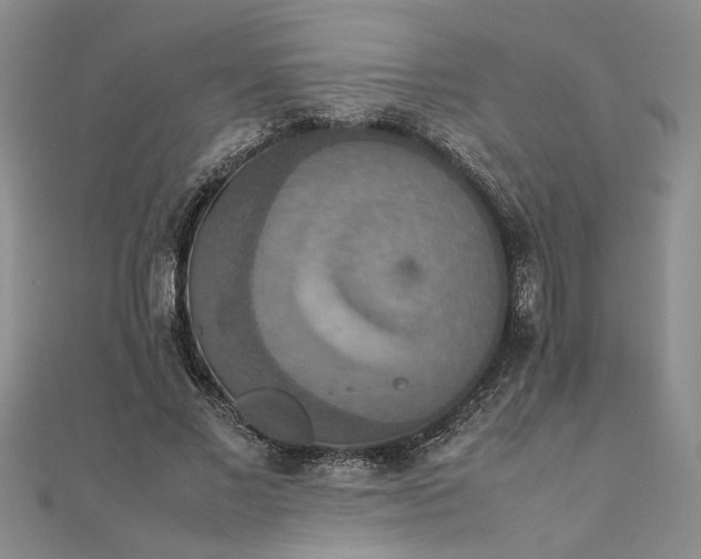 X0000111860685200908061336