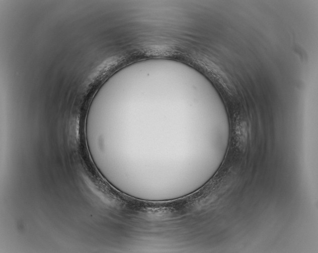 X0000111860686200908061336