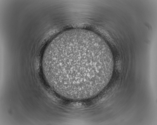 X0000111860687200908061336