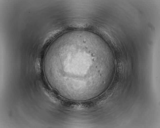 X0000111860688200908061336