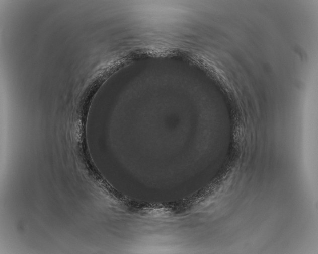 X0000111860689200908061336