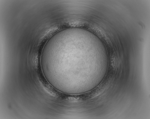 X0000111860690200908061336