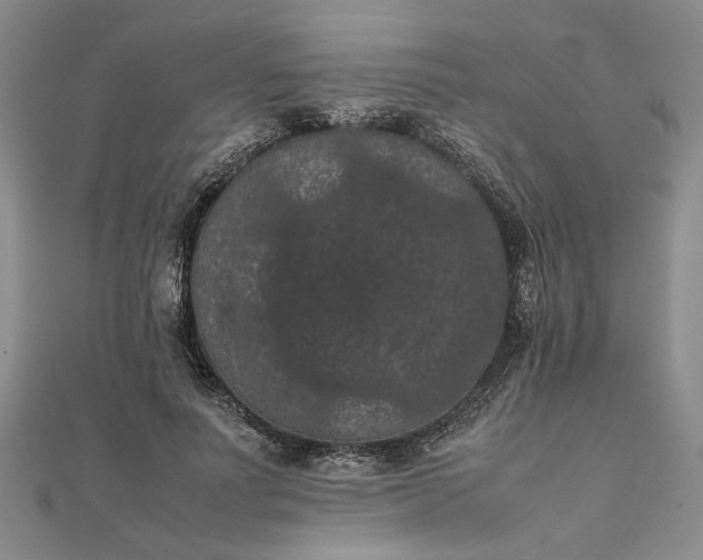 X0000111860691200908061336