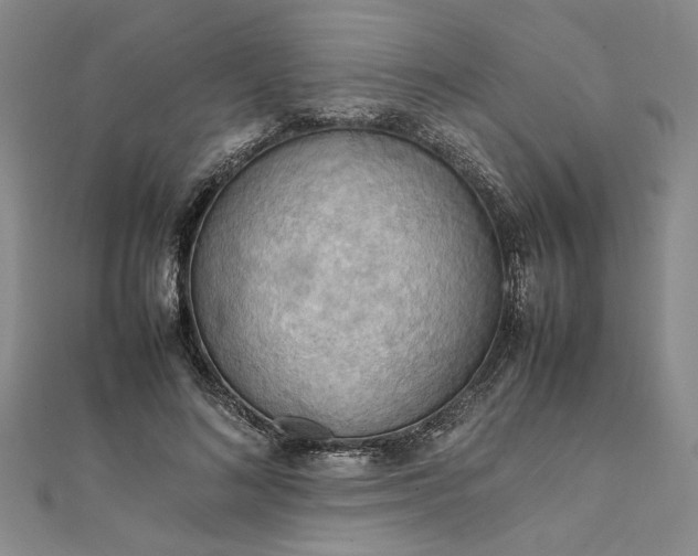 X0000111860692200908061336