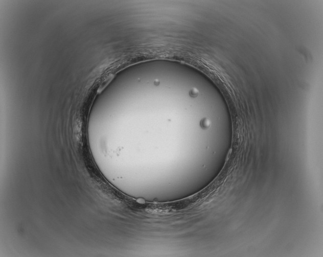 X0000111860693200908061336