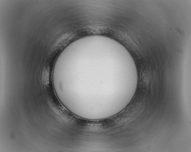 X0000111860694200908061336