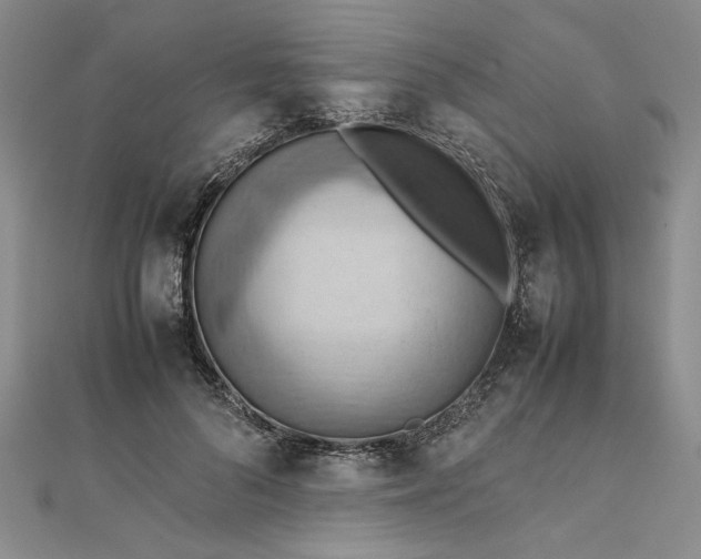 X0000111860696200908061336