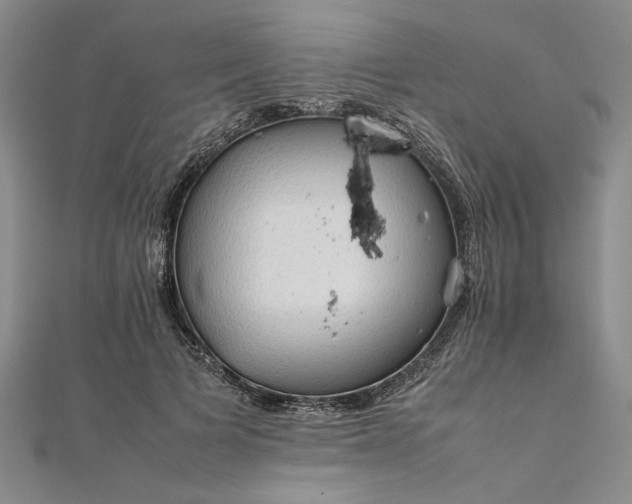 X0000111860697200908061336