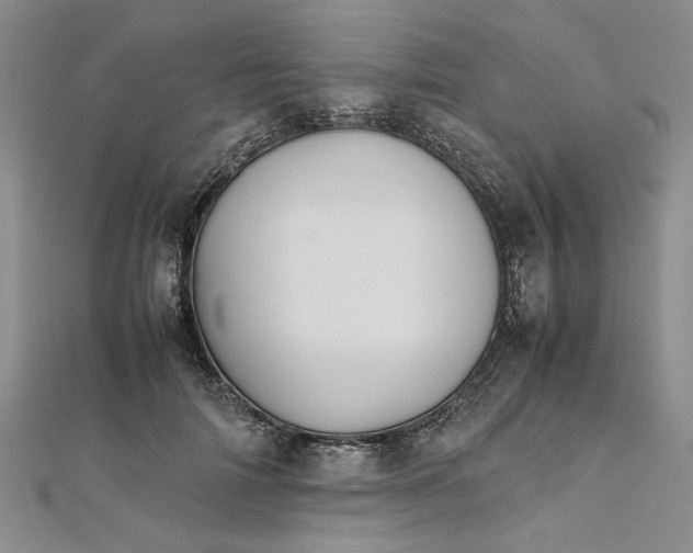 X0000111860698200908061336