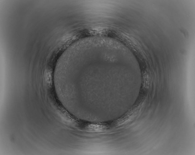 X0000111860699200908061336