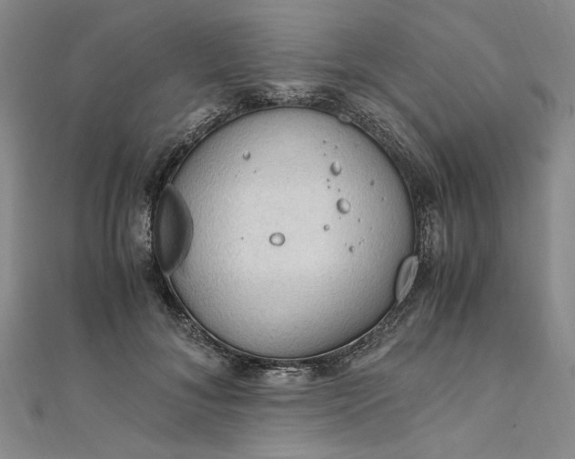 X0000111860700200908061336