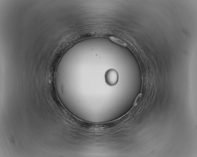 X0000111860701200908061336