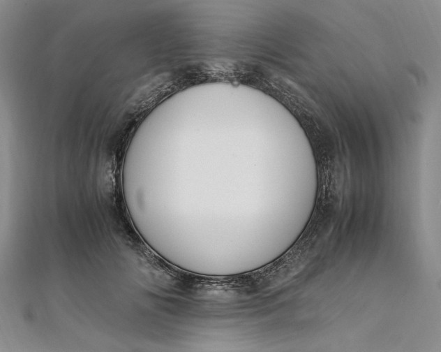 X0000111860702200908061336