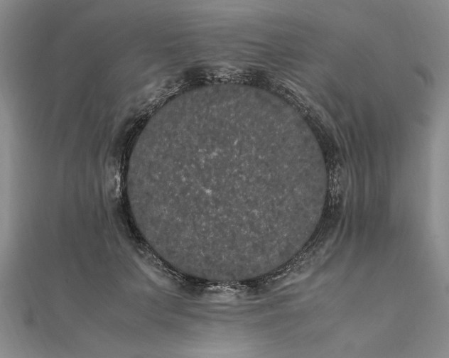 X0000111860703200908061336