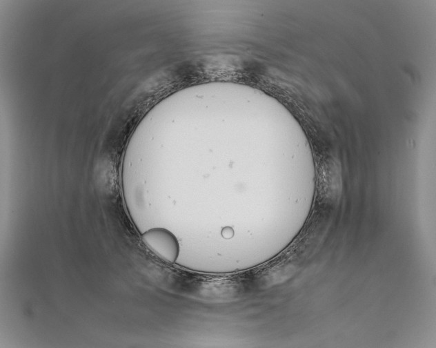 X0000111860705200908061336