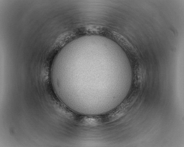 X0000111860706200908061336