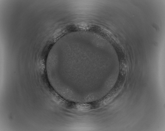 X0000111860707200908061336